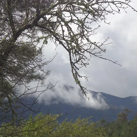 Casa de Campo Quinta Do Caramulo Oliveira do Hospital