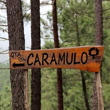 Quinta Do Caramulo أوليفيرا دو هوسبيتال