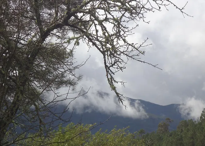 Hétvégi ház Quinta Do Caramulo Oliveira do Hospital