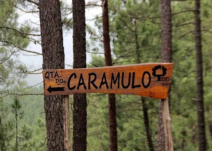 Quinta Do Caramulo Oliveira do Hospital